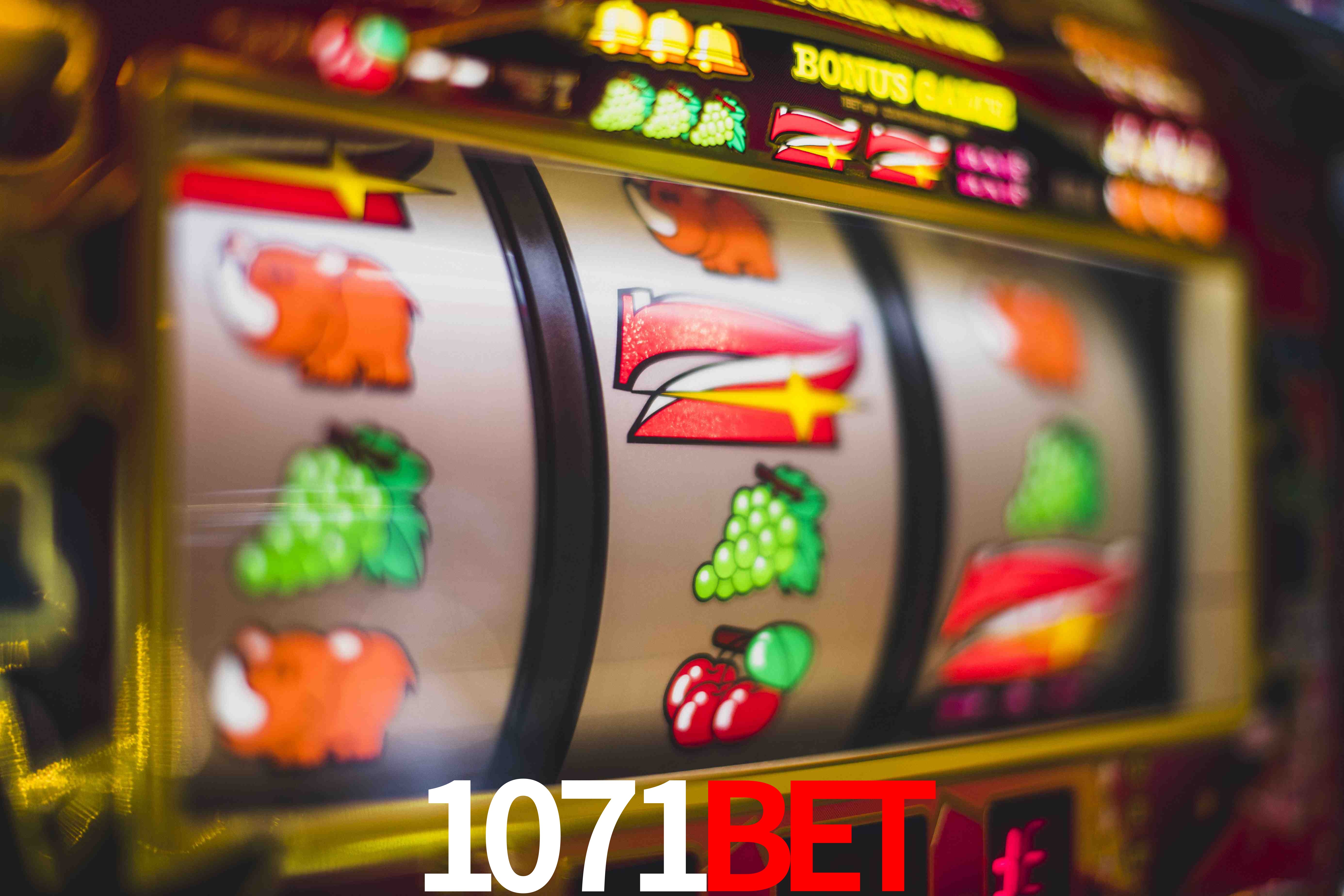 Crash Games Statistics 1071bet